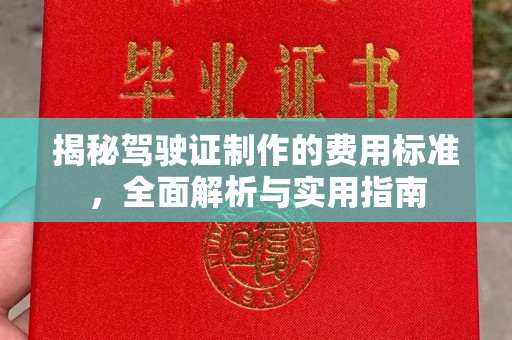 永兴揭秘驾驶证制作的费用标准，全面解析与实用指南